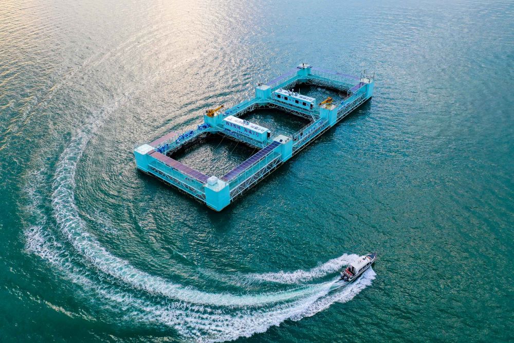 高质量发展调研行｜“土特产”里的科技感