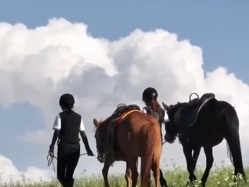 有想法、有特色、有文化……“花式”文旅活动热辣来袭点燃今夏