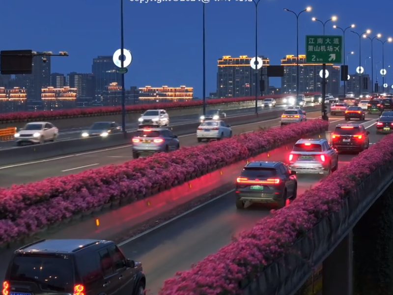 花韵杭城，相约浪漫之都