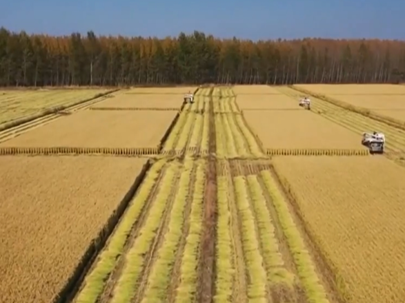 多维数据勾勒活力蓬勃“画卷” 中国高质量发展“阔步向前”