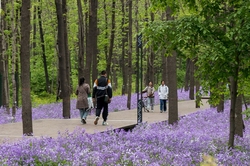 新华全媒+|你好，“邻居”——与城市多样生物相处之道