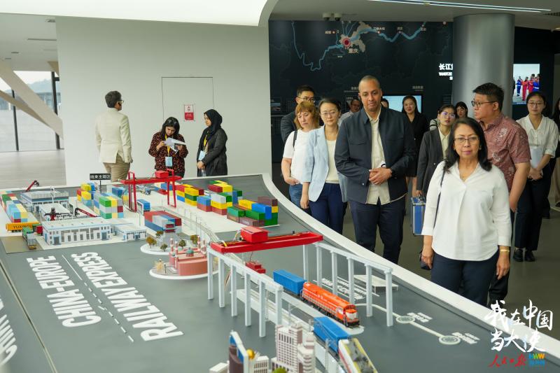 【学习+】驻华使节实地体验西部陆海新通道上的“加速度”