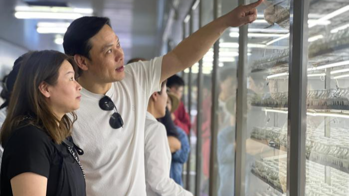 两岸婚姻家庭“寻味”大别山