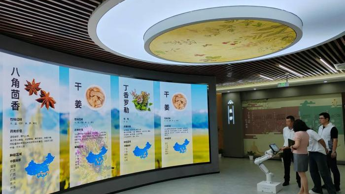 新疆和田如何实现从“天然药仓”到“中医药之乡”的转变？