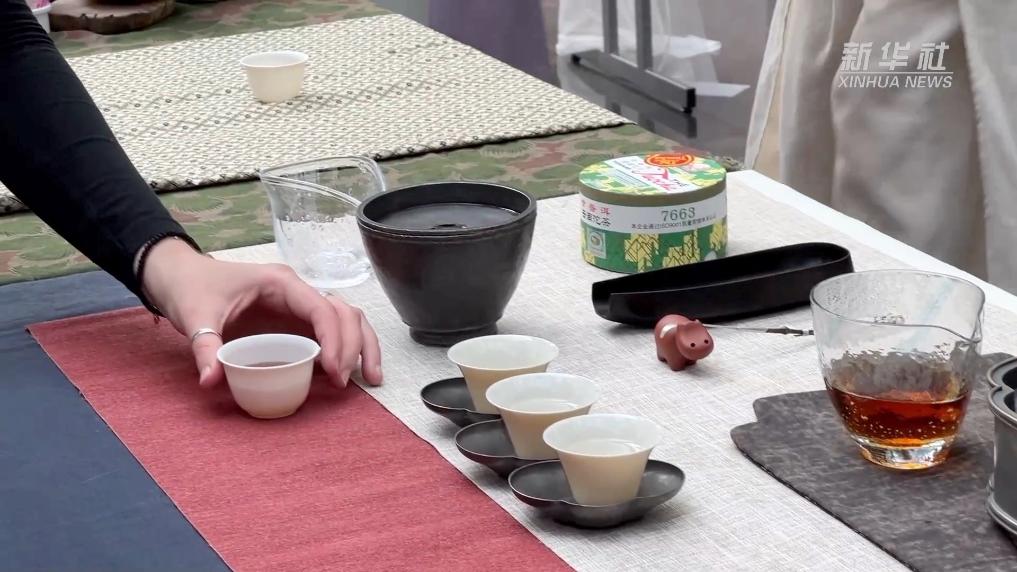 品茗天下 在比利时体验中国茶文化魅力