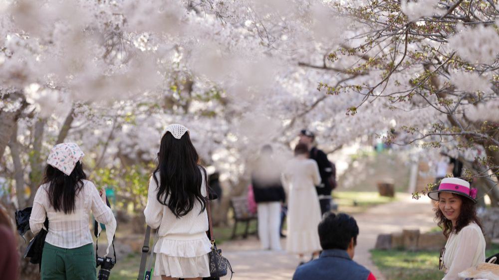 老工业基地何以成文旅新“网红”？——辽宁文体旅高品质融合发展取得新进展