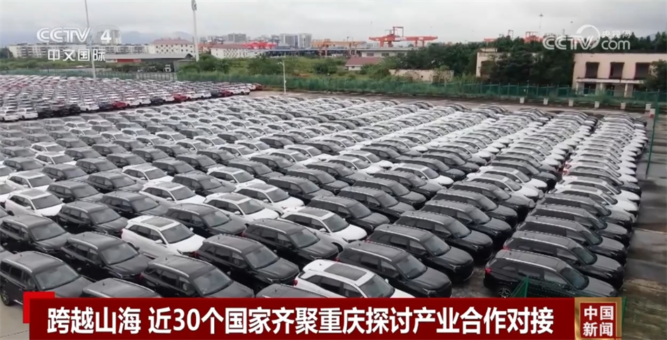 跨越山海来相聚 近30个国家探寻多领域“产业合作对接”机遇