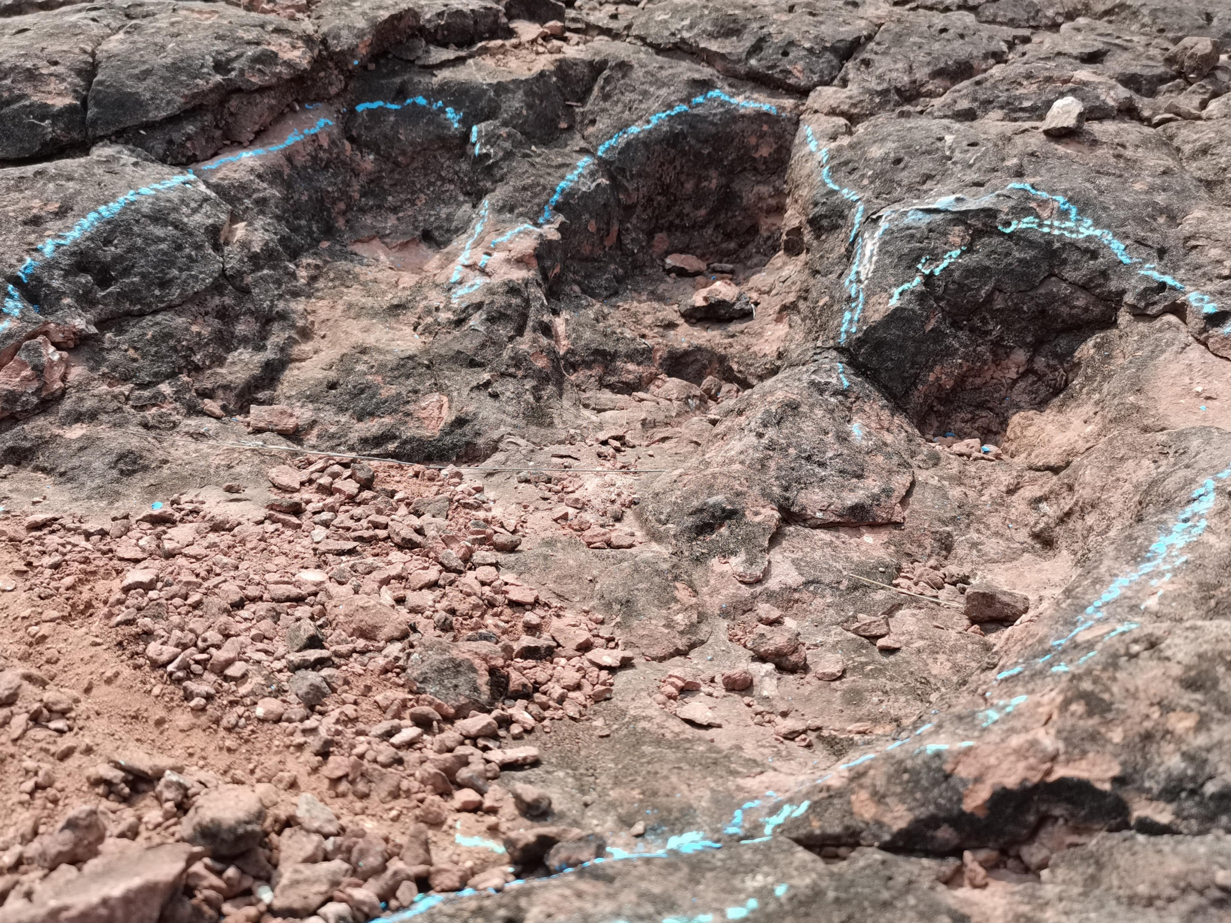 400多枚！云南禄丰发现1.2亿年前恐龙足迹化石群