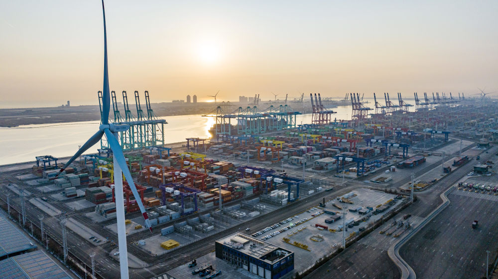 高质量发展·港口探新|锁定低碳，港口风机叶片里的新“绿”意