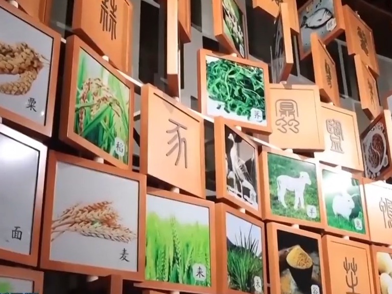 文化中国行丨三天近4000万人次游客 这个假期“文博游”太火了