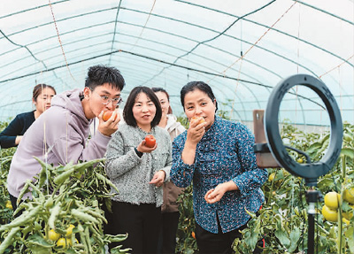 提升商务领域数字化发展水平（锐财经）