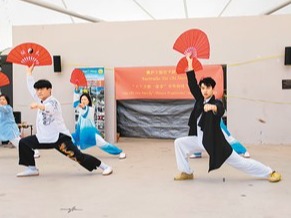 把中华武术瑰宝传承下去（侨界关注）