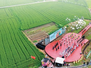 艺术扮靓皖南山村（新时代 新画卷）