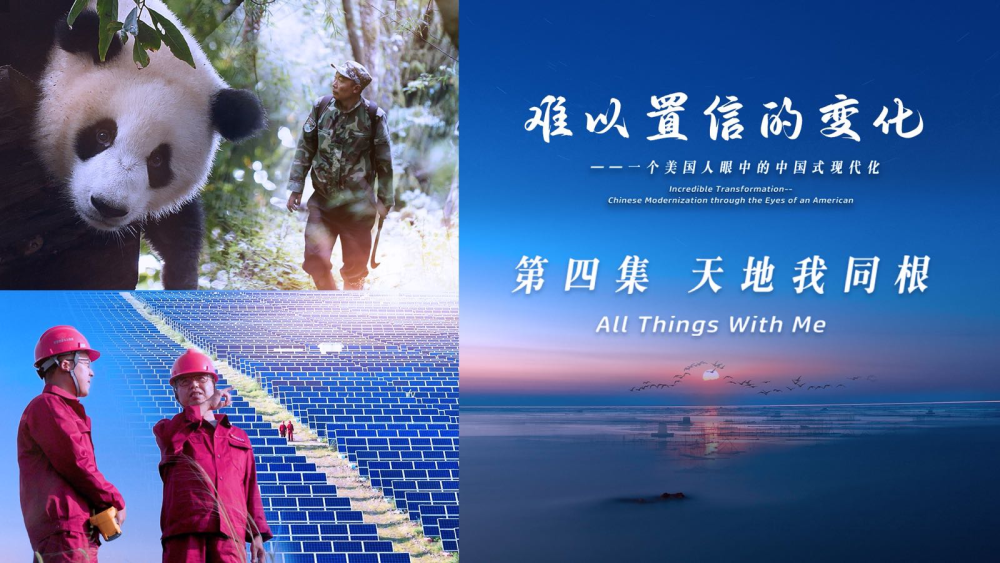 《难以置信的变化》第四集：《天地我同根》