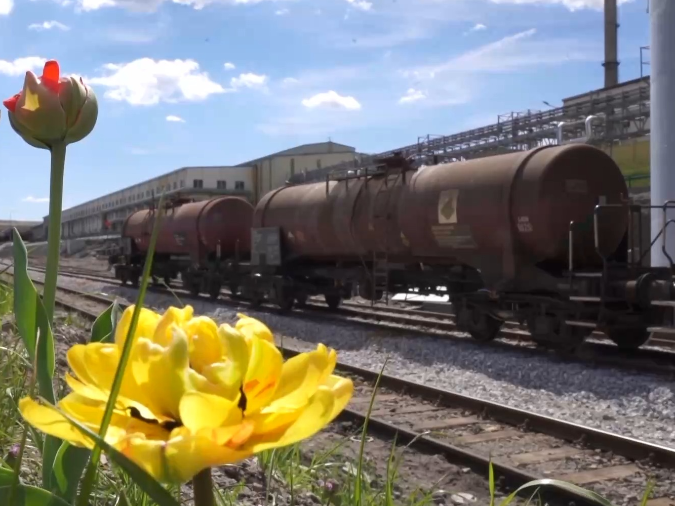 总台记者探访丨共建“一带一路”让塞尔维亚百年矿城焕发绿色生机