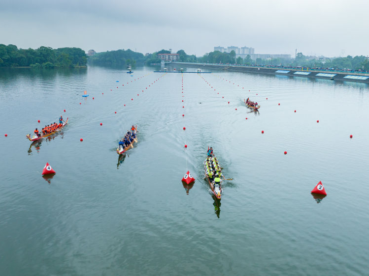 缅怀·传承·弘扬——多地端午节庆活动扫描