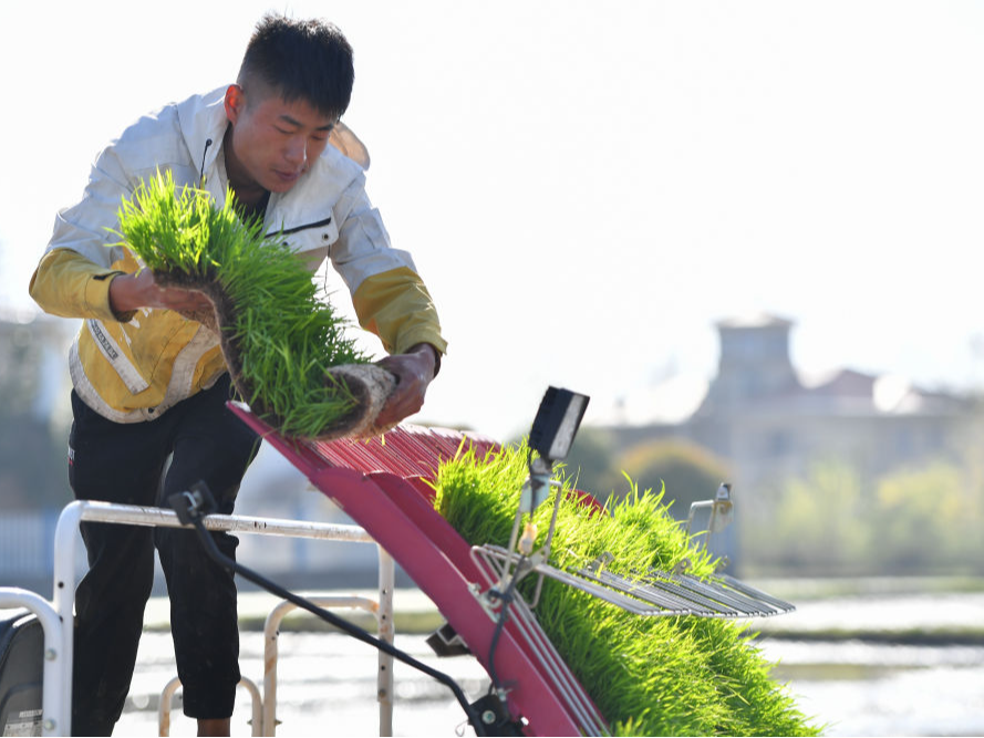 端牢“中国饭碗” 激发振兴活力——中部地区推进农业农村改革发展