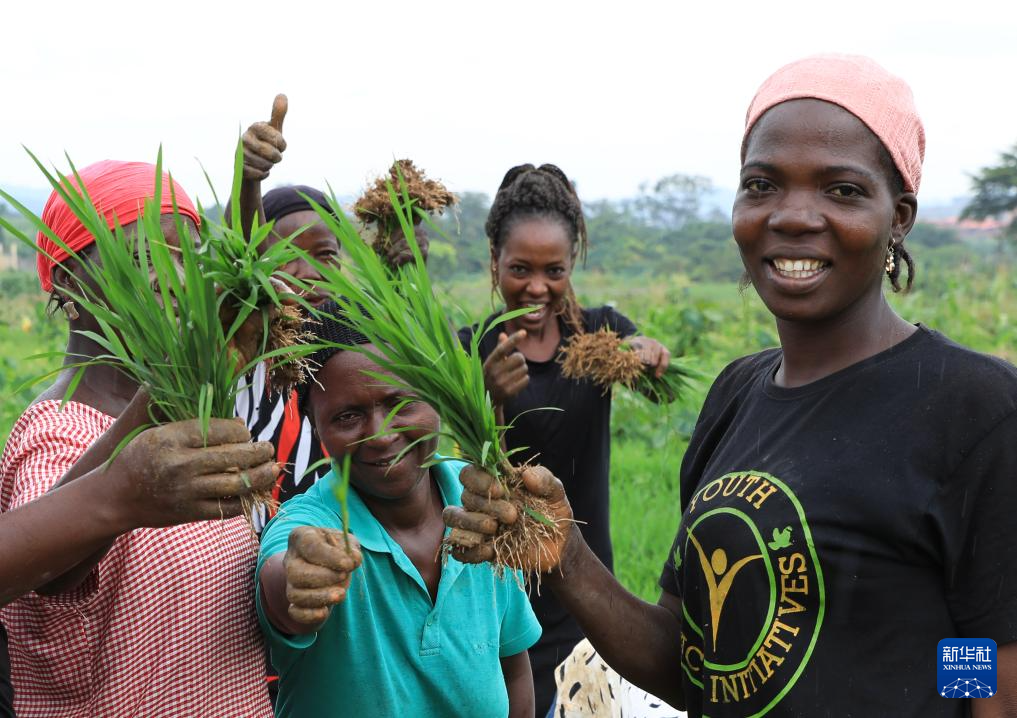 特稿｜中非共绘非洲农业发展蓝图