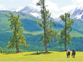 文旅融合亮点纷呈（记录中国）