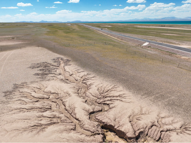 西藏那曲：大地上的“天空之树”