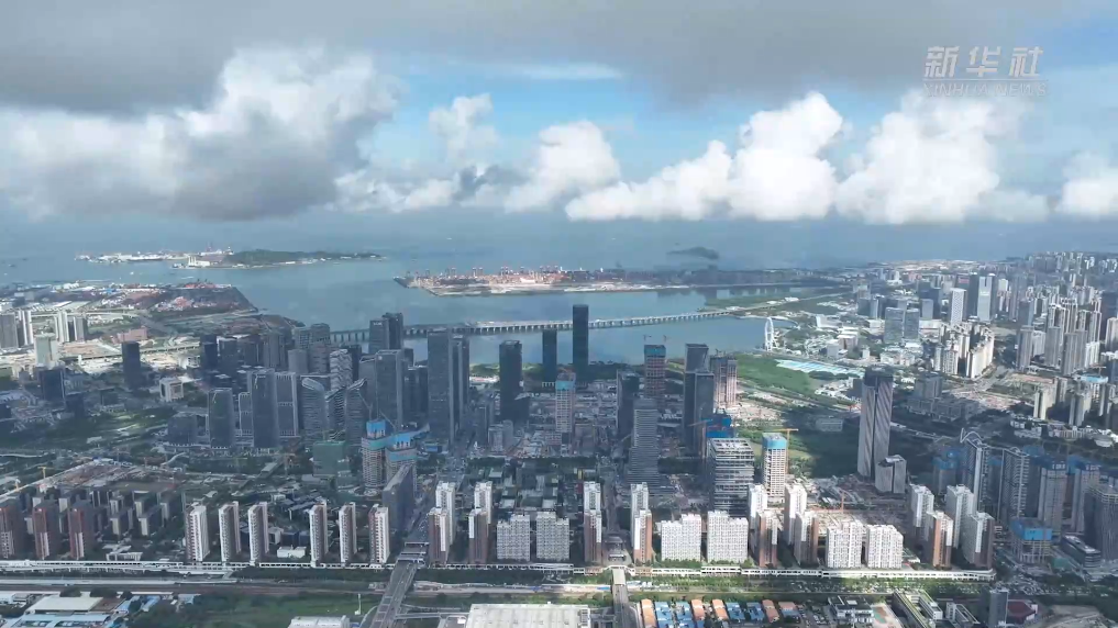 机遇湾区行｜深圳前海成港青北上创业沃土