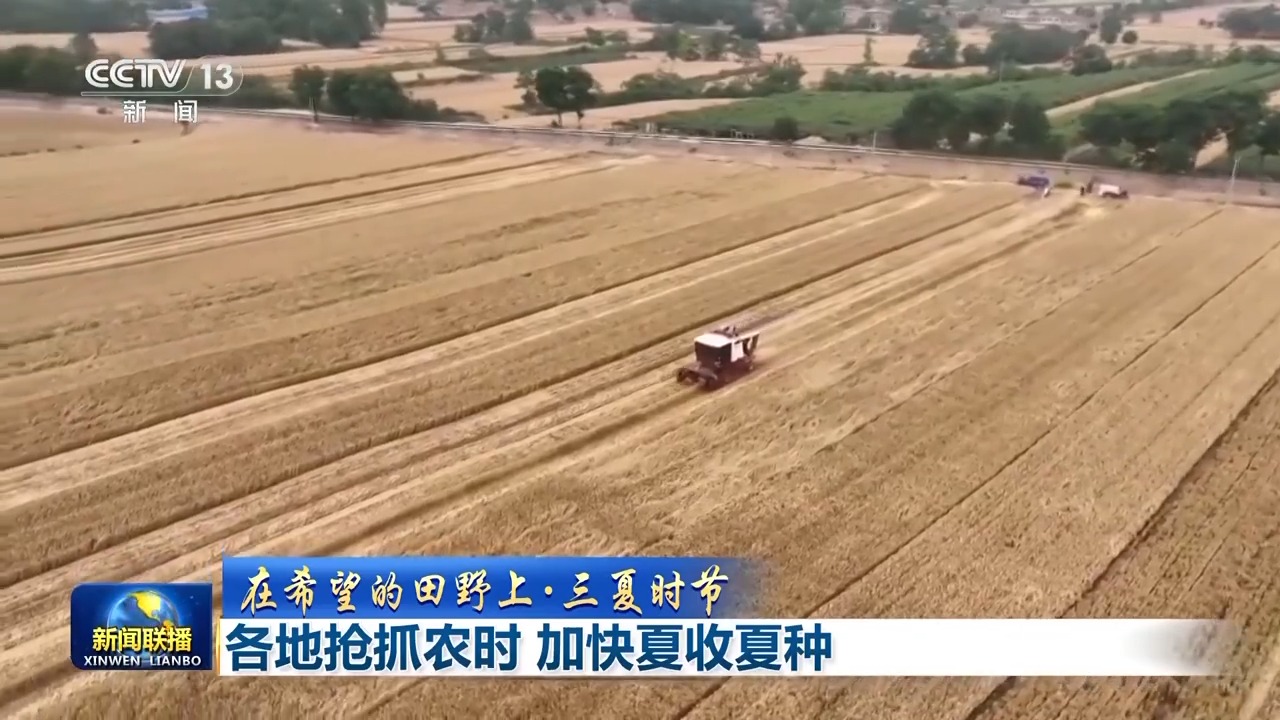 在希望的田野上丨夏收夏种进行时 农机助力忙丰收