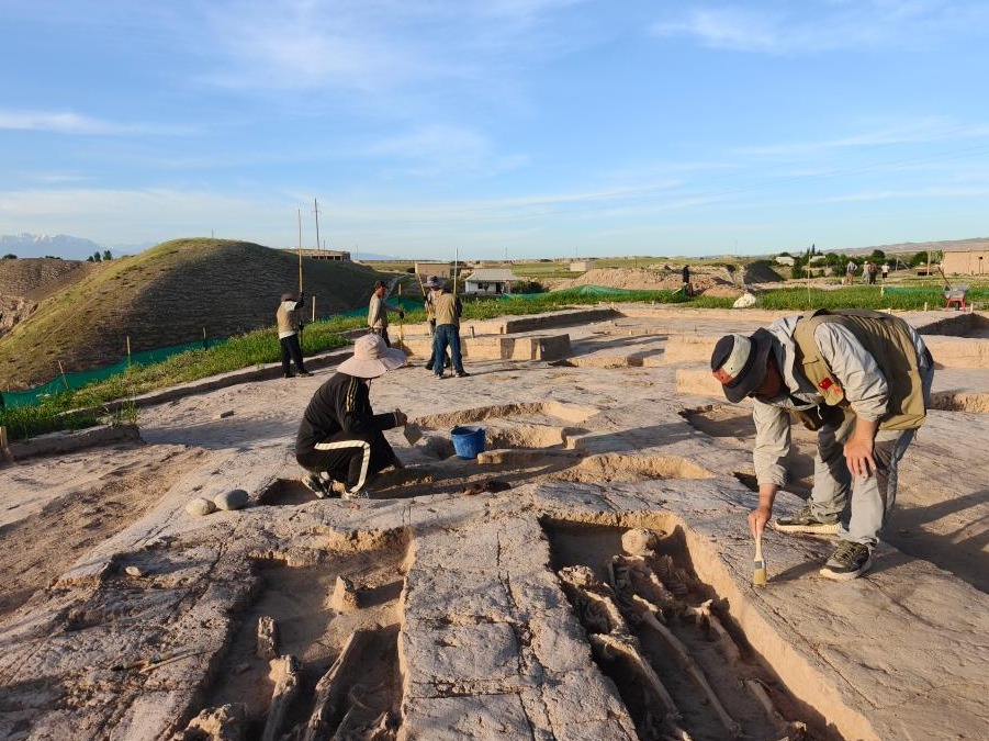 中乌联合考古揭开古丝绸之路千年遗存神秘面纱