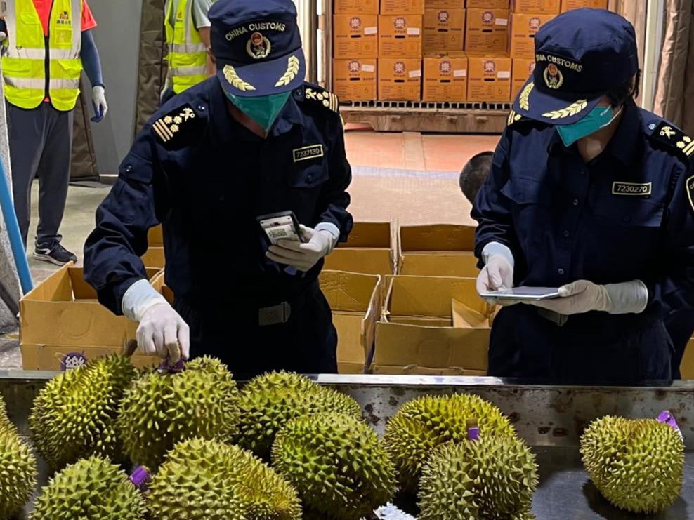 海外网评：全面生效一周年，RCEP“朋友圈”共享发展红利