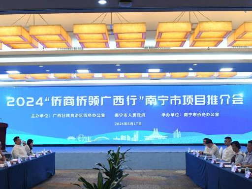 侨商侨领南宁寻商机 关注新能源产业