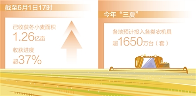 全国已收获冬小麦面积1.26亿亩（新数据 新看点）