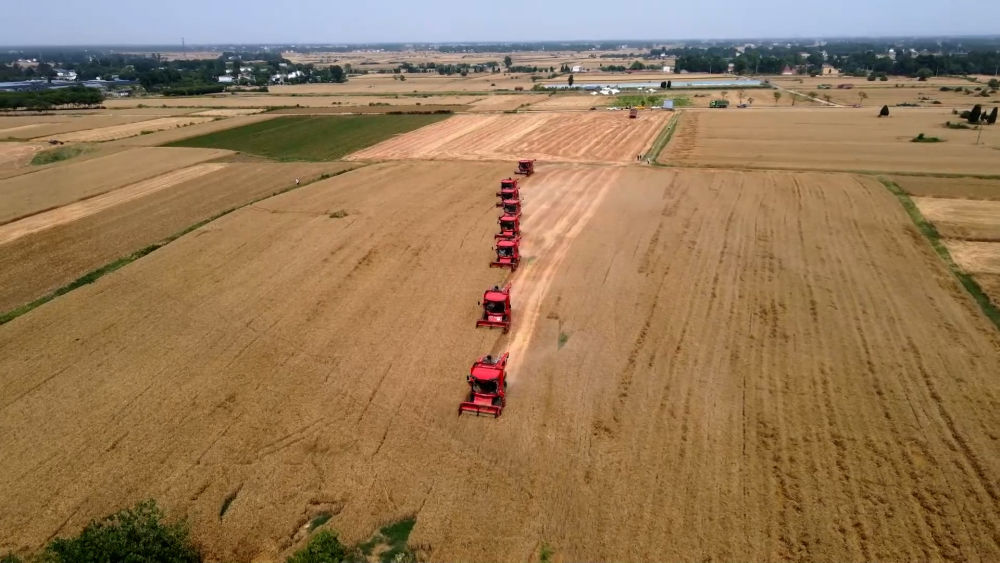 新华全媒＋丨“中原粮仓”河南麦收过半 多举措助力“三夏”生产