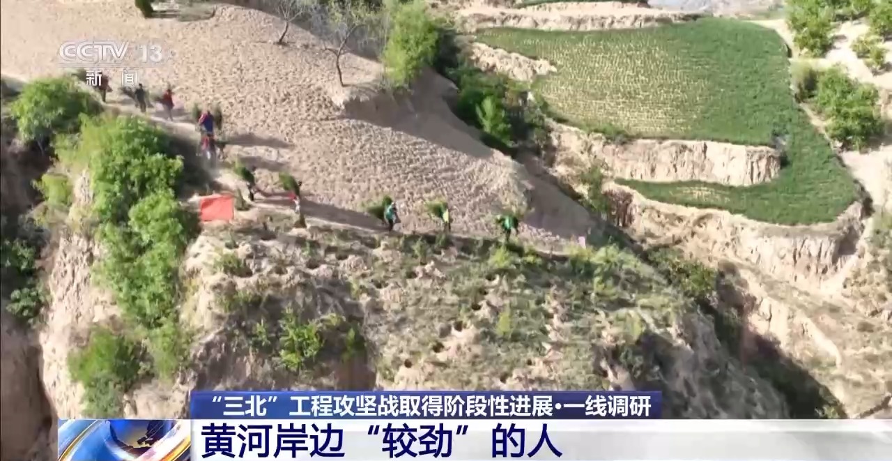 一线调研丨三座塔就能监测整片森林 解锁三北工程的“碳汇”密码