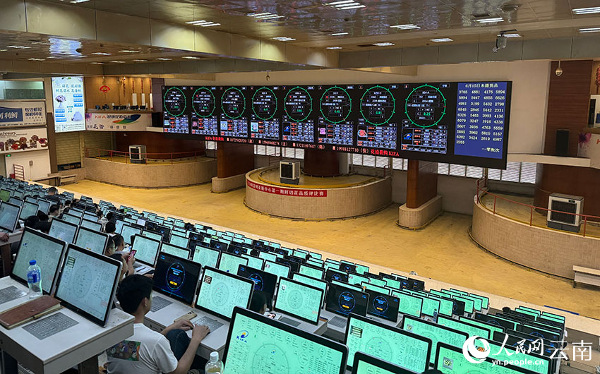 品牌云南丨“鲜花经济”的“美丽密码”