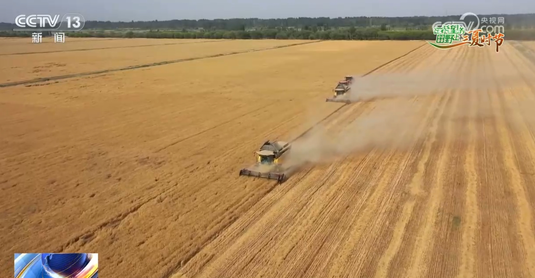 良种+良法、数据+科技 “智慧翅膀”托举起“中国饭碗”底气