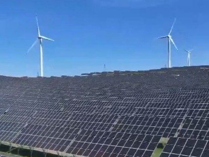 高质量发展调研行 | 新能源行业在开放竞争中练就真本事