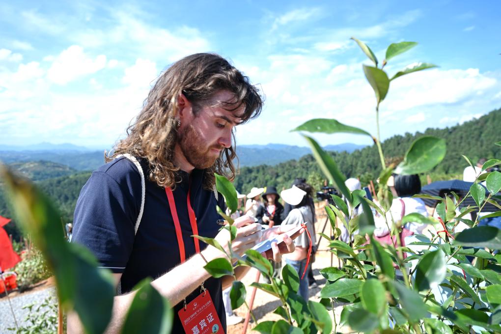 特写：鼓岭山上，中美青年共植友谊树