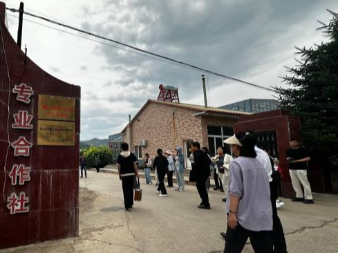 不加“科技与狠活” 这座内蒙古“小庙”靠中药材致富