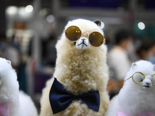 秘鲁学者：秘中两国务实合作 为共建“一带一路”注入新动能