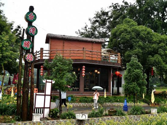 六旬台农的闽西谷主梦：种萱草建“台东忘忧谷”