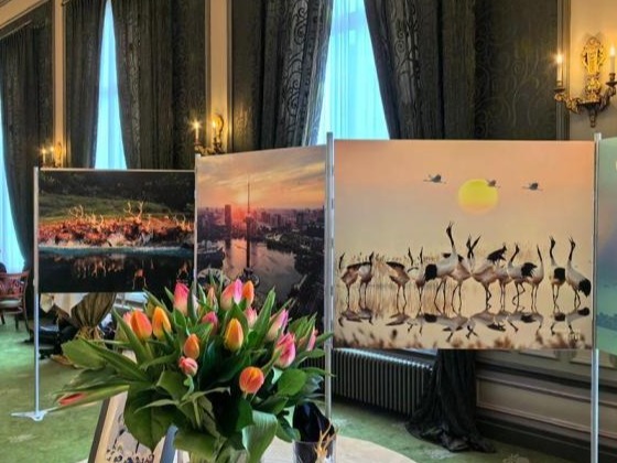 中国盐城（荷兰）文化旅游交流会举行 郁金香见证两地友谊