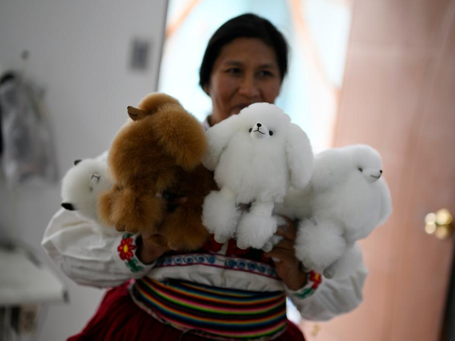 共话中国经济新机遇丨通讯：中国市场给秘鲁羊驼制品手工艺人带来更多发展机遇