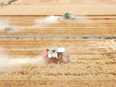 芒种：麦黄梅熟 祛湿防暑（二十四节气里的中医养生之道）