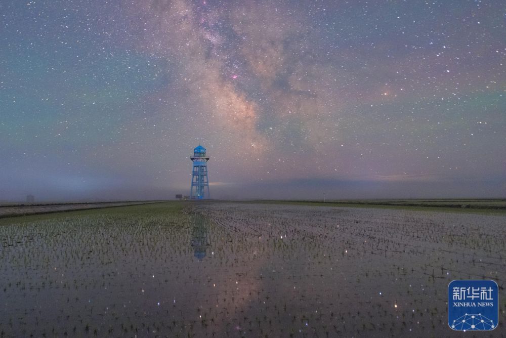 新华全媒＋丨初夏“北大仓”舒展稻田星光画卷
