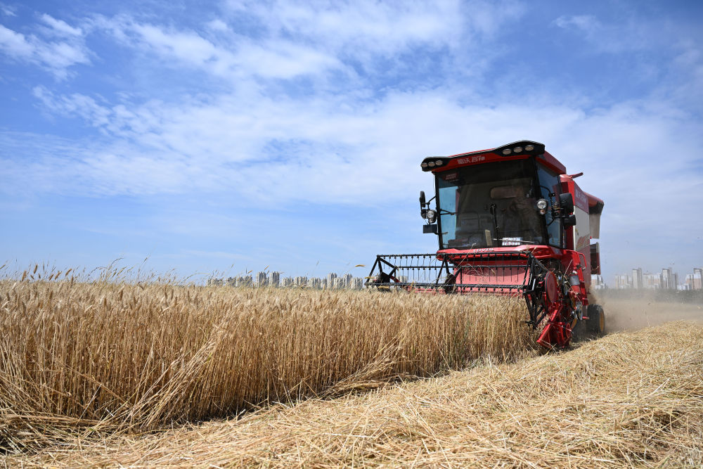 "新"潮澎湃入画图——中部地区五年发展新观察