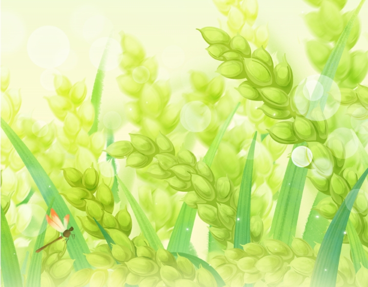 芒种在“忙”啥？