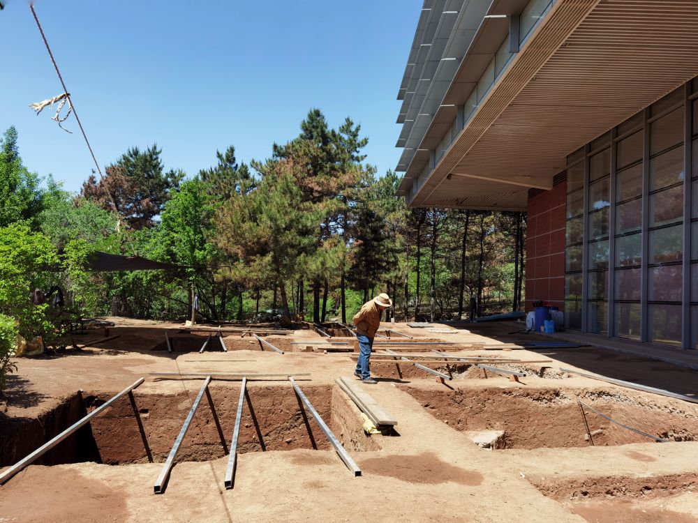 文化新观察｜守护文化遗产的基层答卷