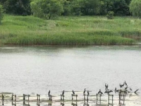 中韩民间交流期盼“双向奔赴”