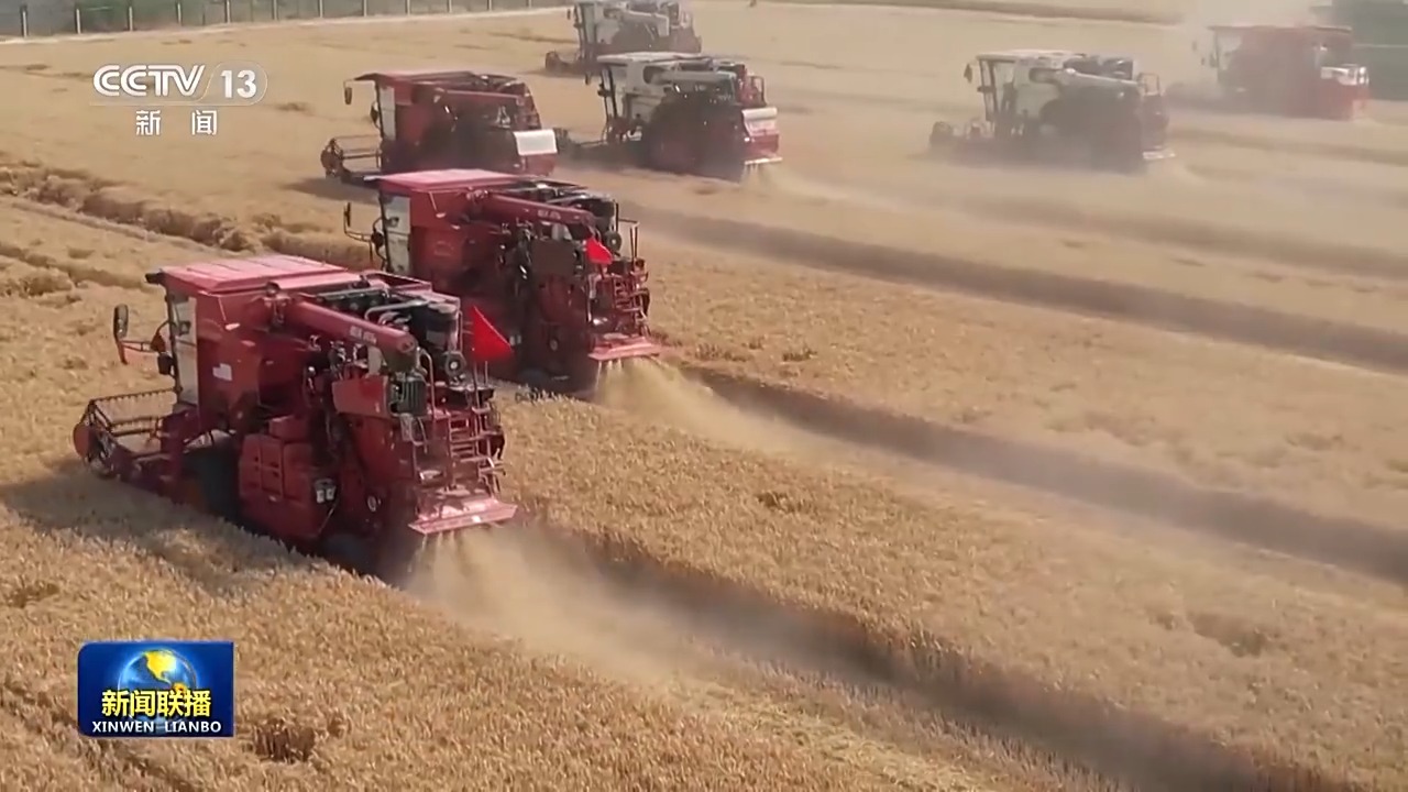 “丰”景喜人！全国冬小麦收获进度已过七成