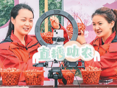 手机成了“新农具”（“融”观中国）