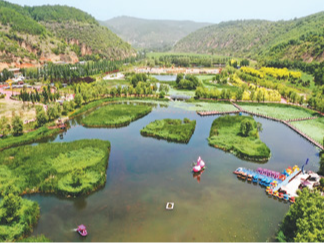 根植“沃土”结硕果